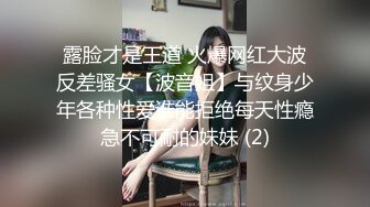 【麻豆传媒】mdhg-0007 最甜暗黑性爱教主-孟若羽